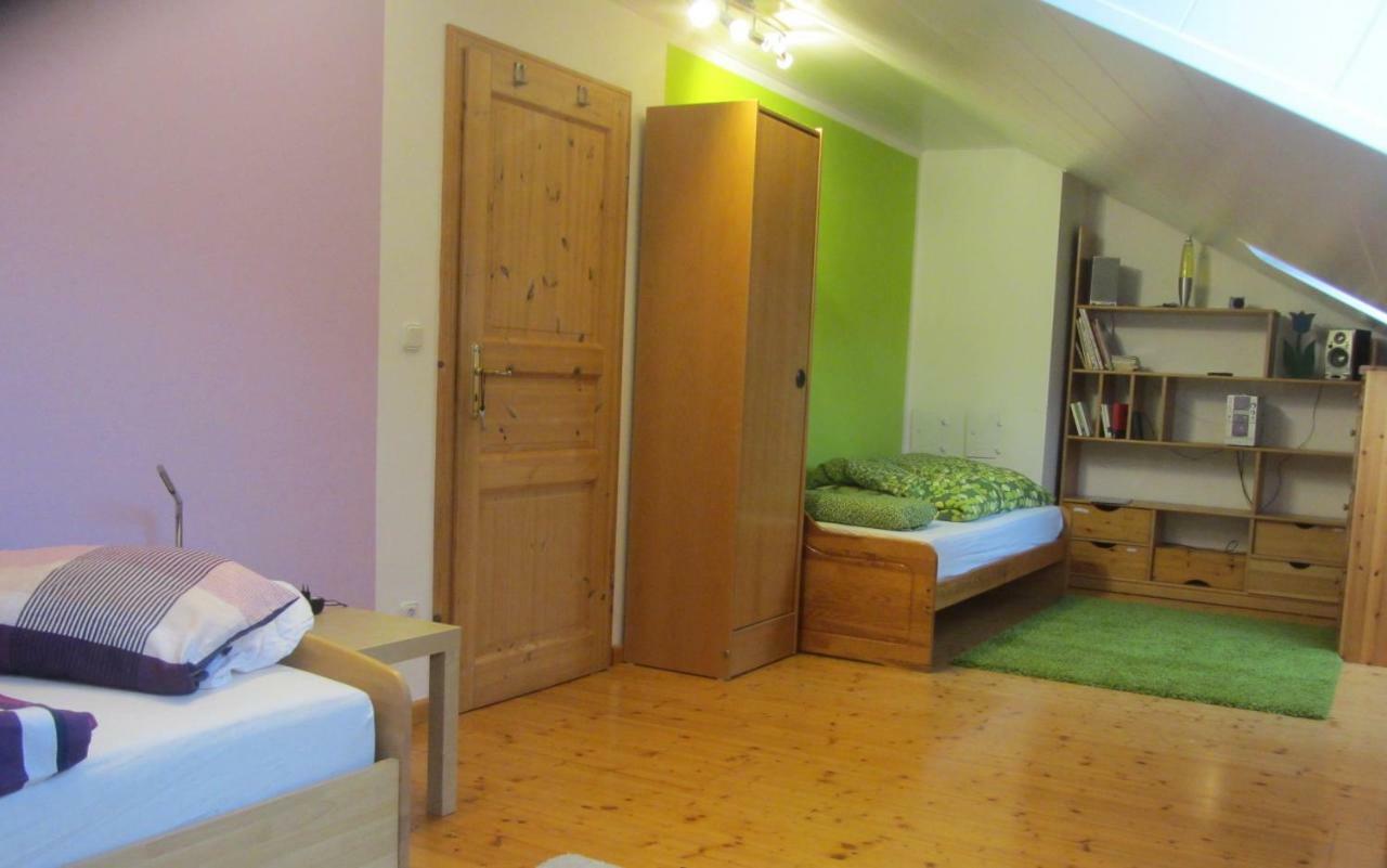 וורט אן דר דונאו Ferienwohnung Am Fuss Des Bayerischen Waldes מראה חיצוני תמונה