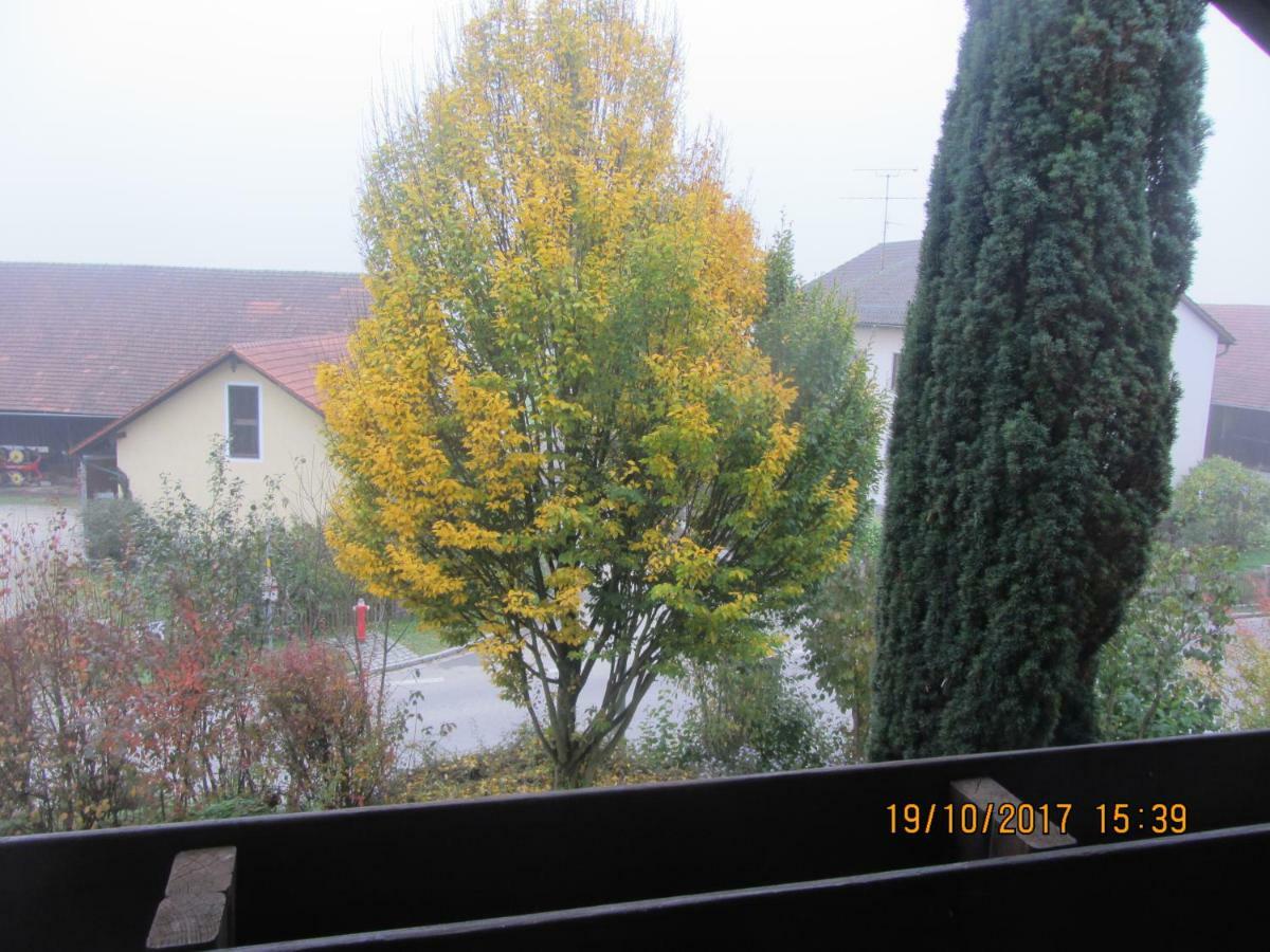 וורט אן דר דונאו Ferienwohnung Am Fuss Des Bayerischen Waldes מראה חיצוני תמונה