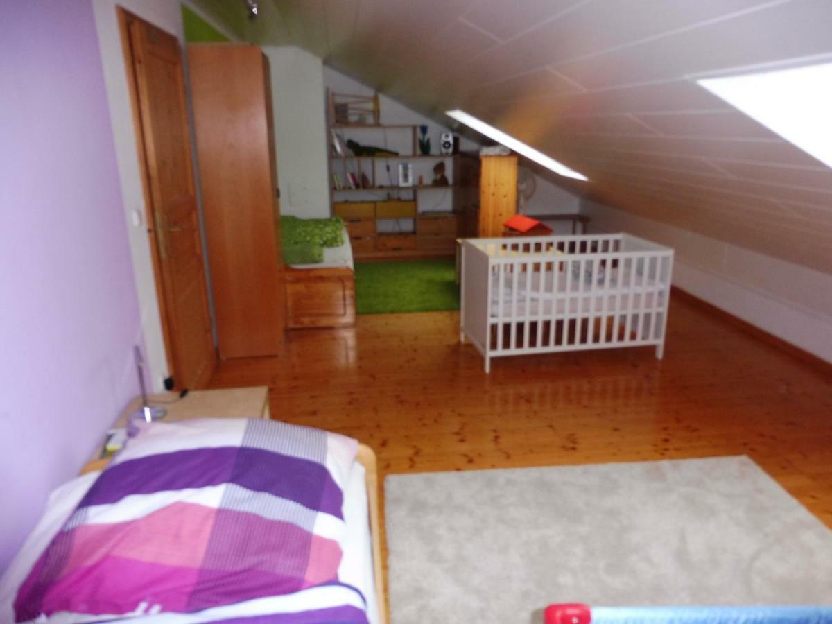 וורט אן דר דונאו Ferienwohnung Am Fuss Des Bayerischen Waldes מראה חיצוני תמונה